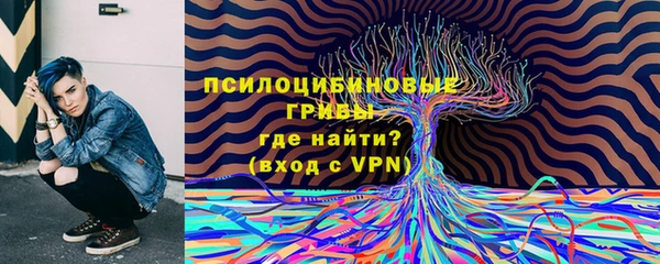 прущая мука Богородицк