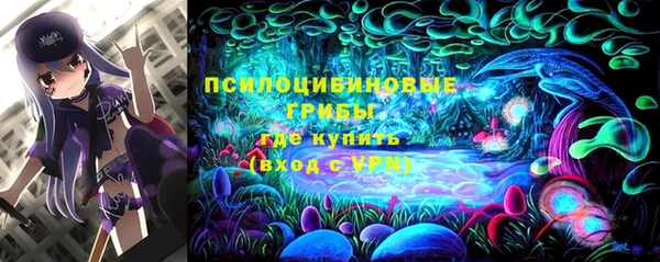 прущие крисы Богданович