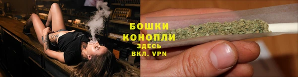 прущие крисы Богданович