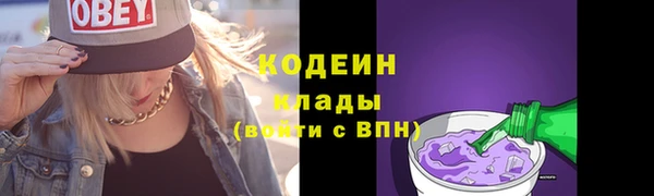 гашик Богородск