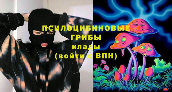 прущие крисы Богданович