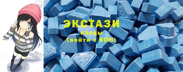 гашик Богородск