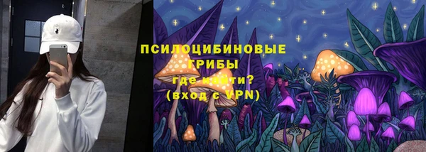 гашик Богородск