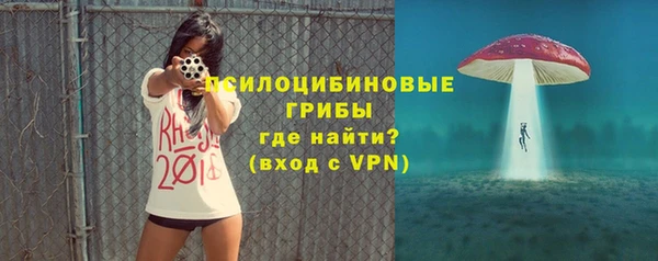 прущие крисы Богданович