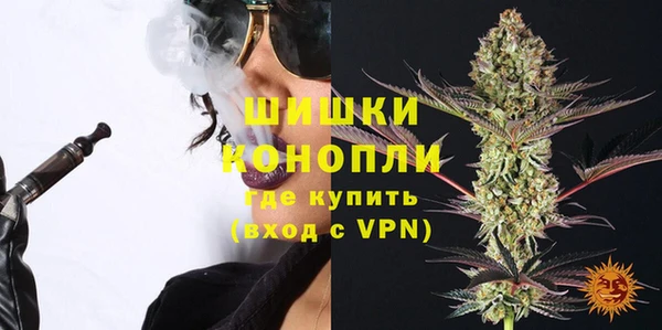 гашик Богородск
