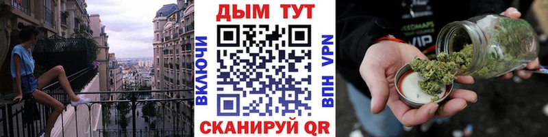 Конопля сатива Кущёвская